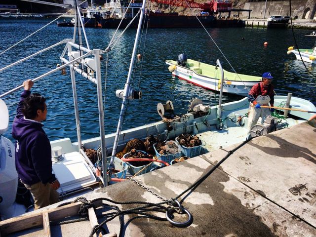 飛行船PJ第80回　仕分