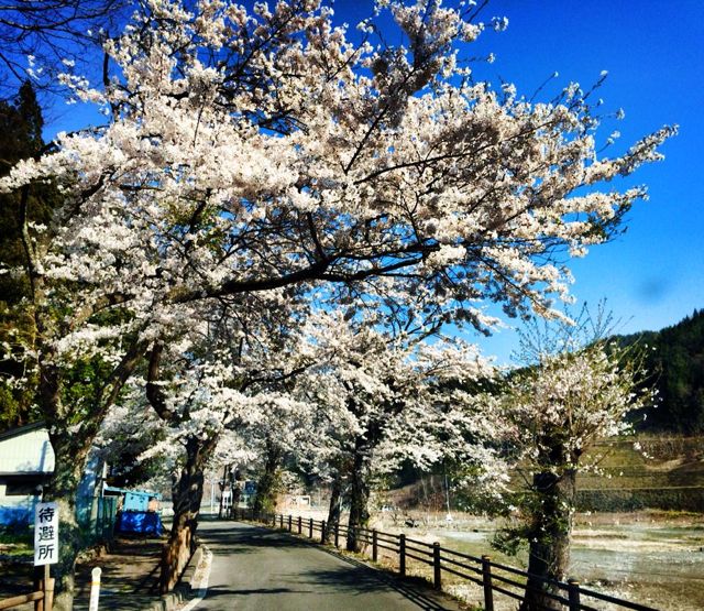 飛行船PJ第80回　仕分