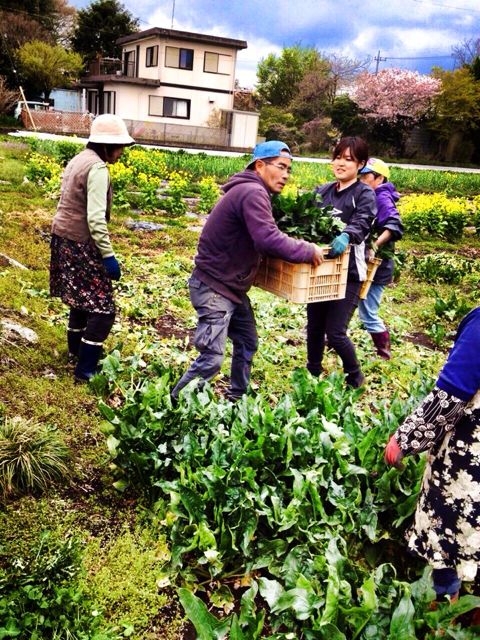 飛行船PJ第80回　仕分